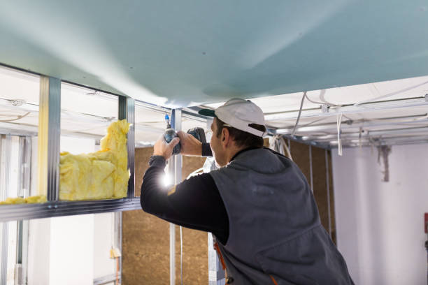 Best Insulation Inspection Services  in Athens, MI